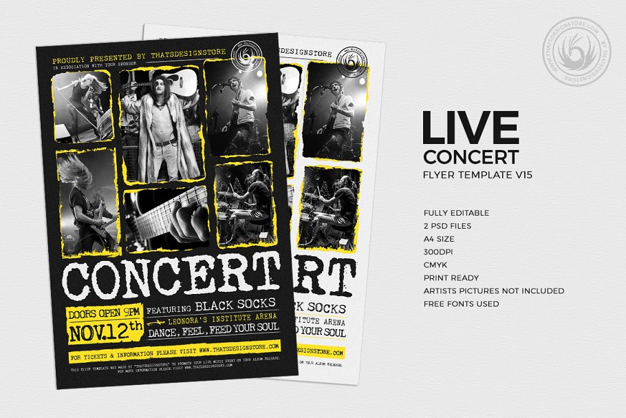 现场音乐聚会传单PSD模板v15 Live Concert Flyer PSD V15插图