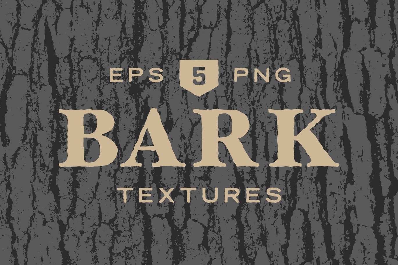 5款逼真树皮纹理肌理矢量背景素材 Tree Bark Textures插图
