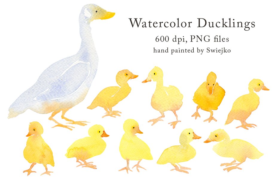 鸭子手绘水彩剪贴画 Country Clipart – Ducklings插图