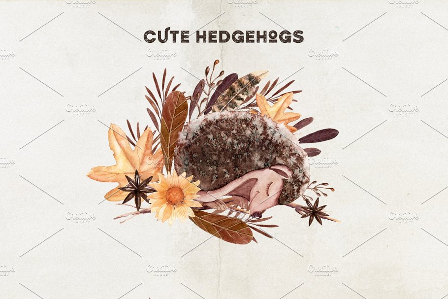 刺猬与秋天水彩素材集 Watercolor Autumn Hedgehogs插图(2)