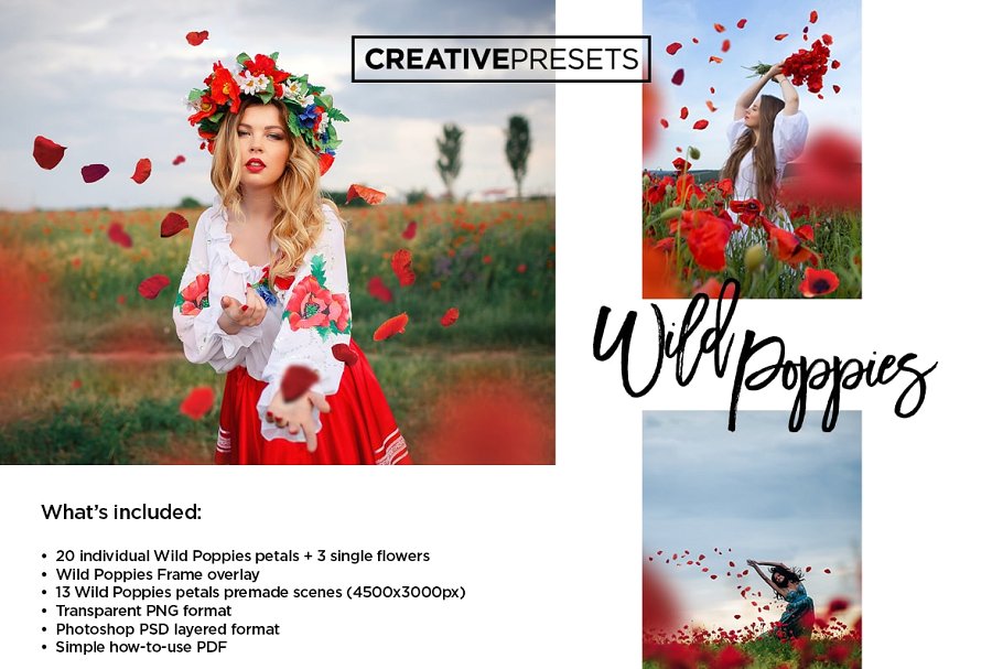 浪漫野生罂粟叶照片处理叠层 Wild Poppies Photo Overlays插图2