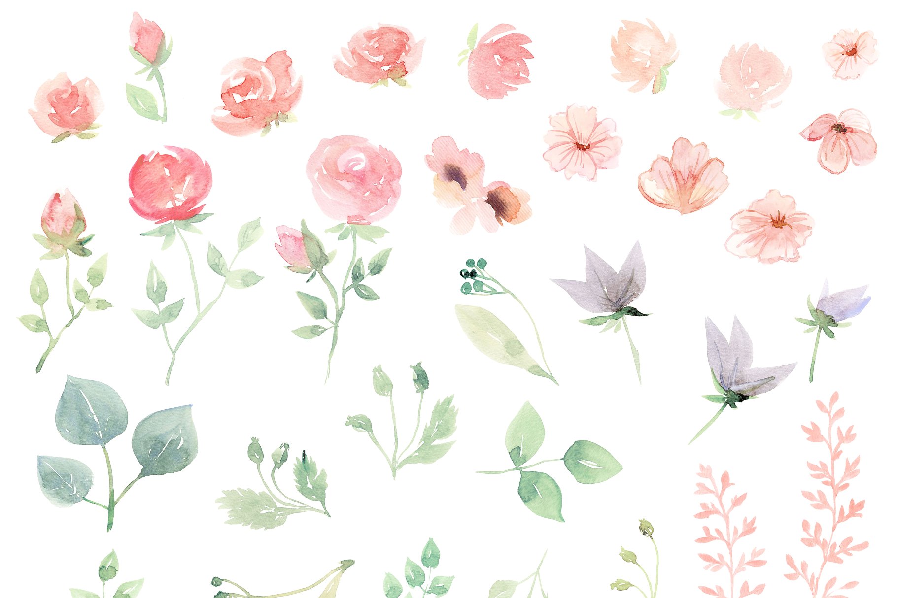 浪漫风格手绘花卉&绿叶水彩图案 Romantic Floral Clipart set插图(1)