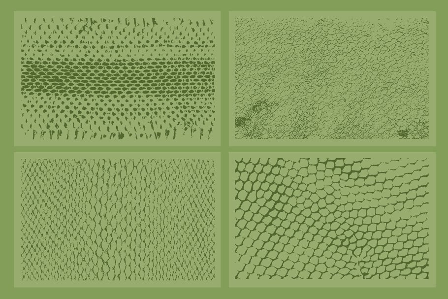 20种动物皮肤纹理 20 Animal Skins Textures – VES11插图1
