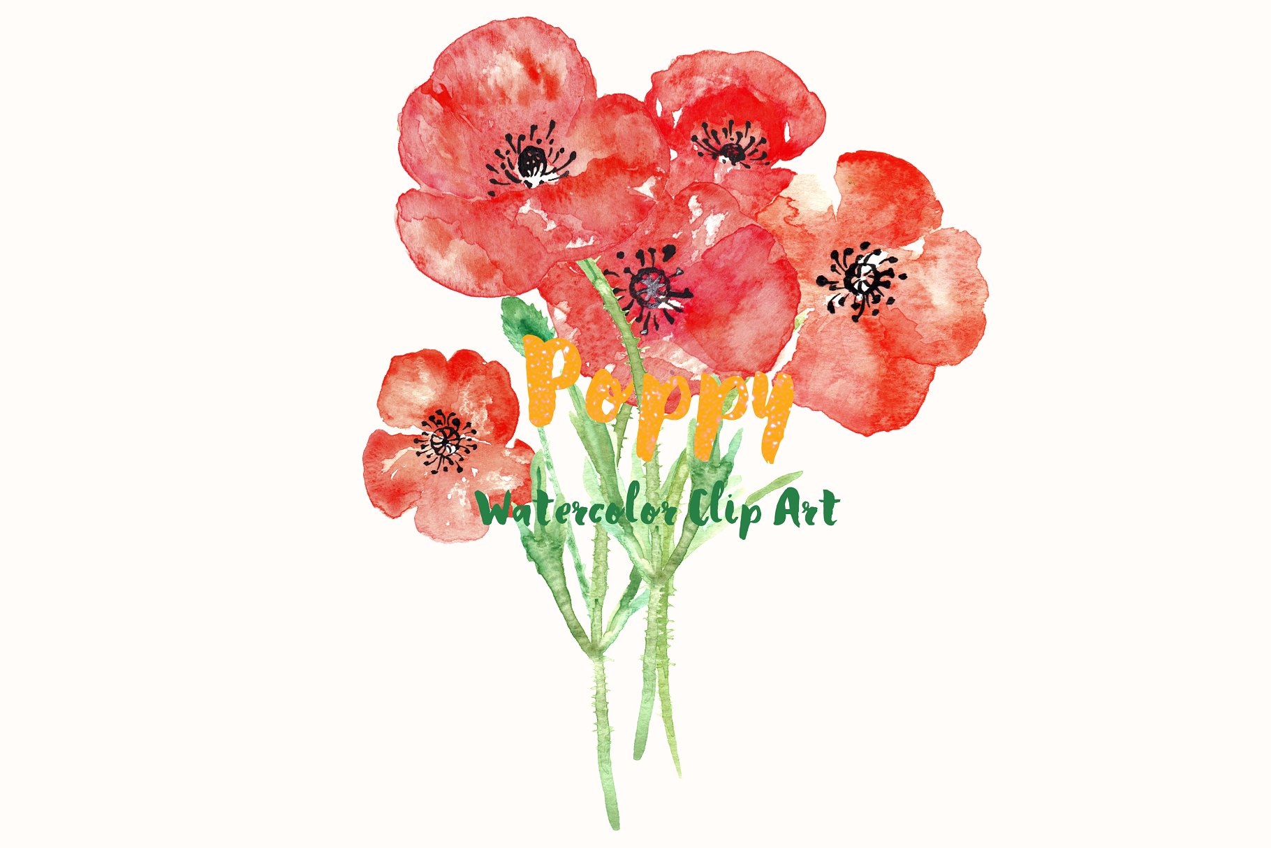 手绘罂粟水彩剪贴画Poppy watercolor Clipart插图(3)