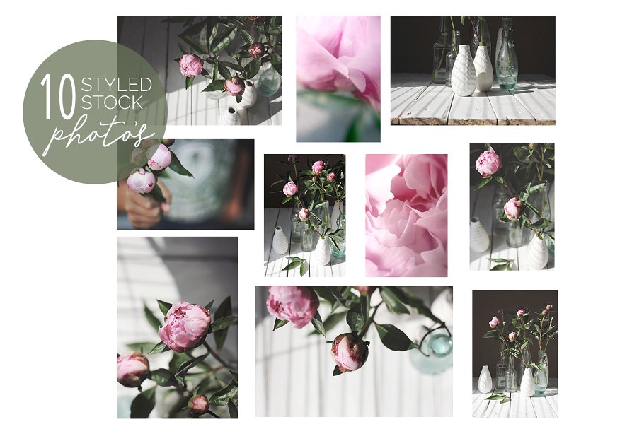 粉红色牡丹花卉装饰场景模板 Styled stock photos, Pink peonies插图(4)