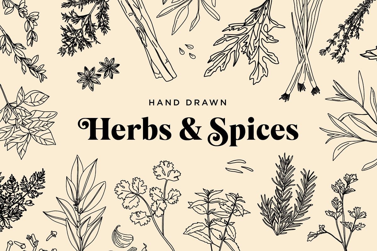 20+草药和香料手绘图案设计素材 Hand Drawn Herbs & Spices插图