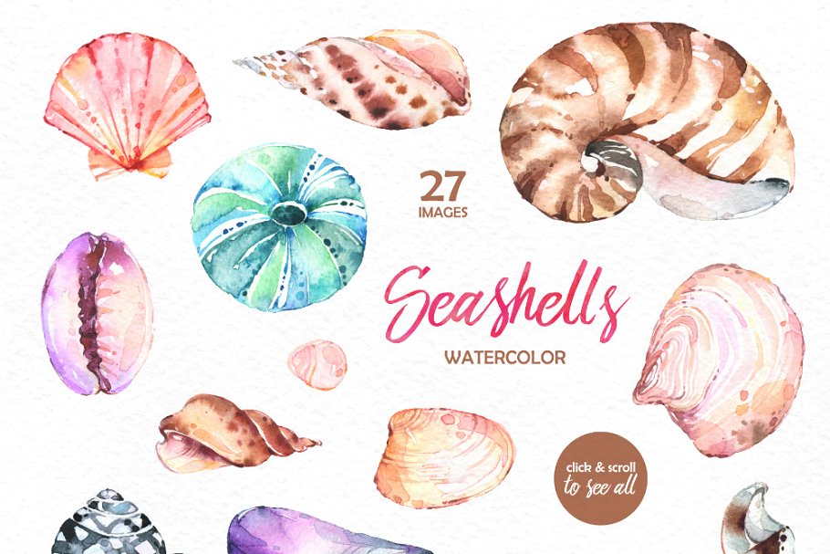 奇形怪状的贝壳水彩画素材集合 Seashells. Watercolor collection插图1