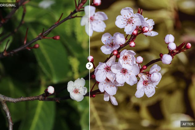 春季风景人像照片后期处理LR调色滤镜 Spring Lightroom Presets插图(6)