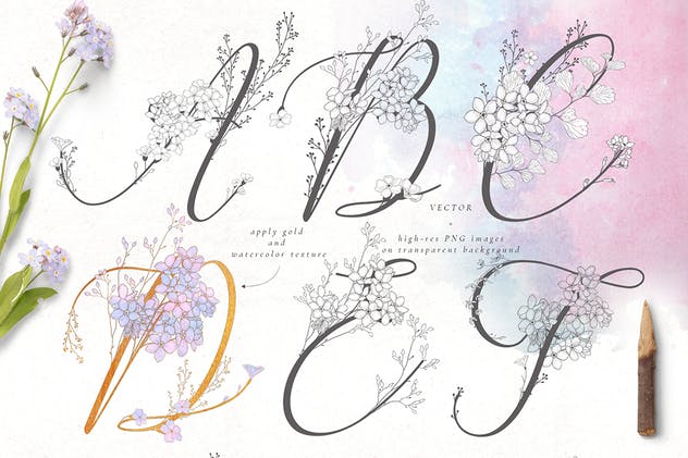 手绘花式单字字母和Logo设计素材收藏 Flowered Monogram & Logo Collection插图(2)