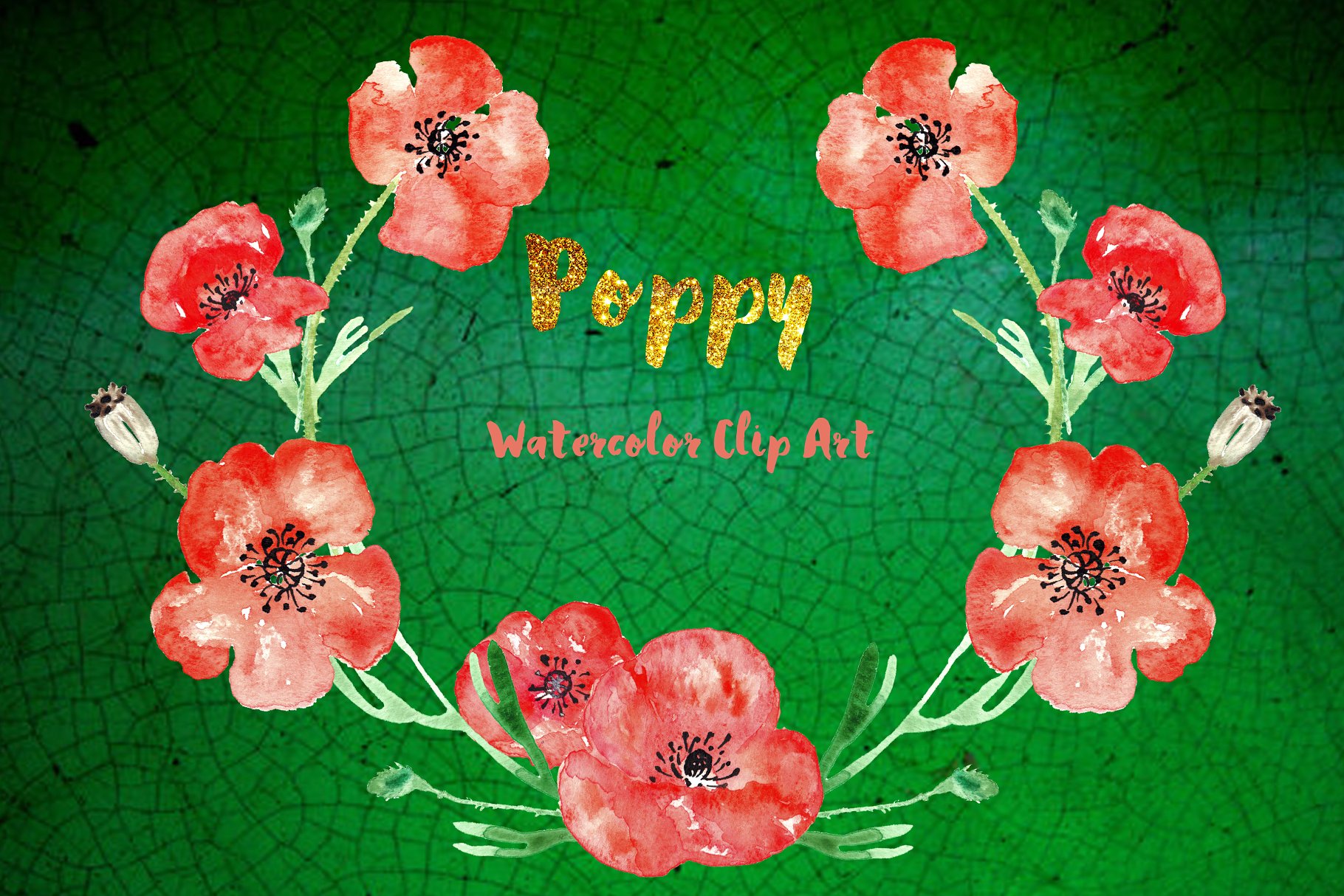 手绘罂粟水彩剪贴画Poppy watercolor Clipart插图(1)