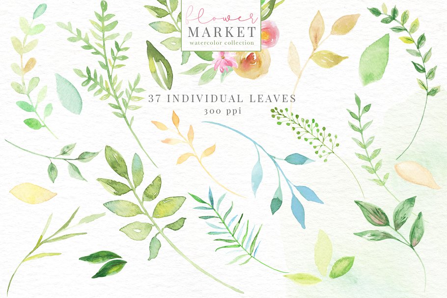 花卉市场水彩素材收藏[1.15GB] Flower Market Watercolor Collection插图(14)