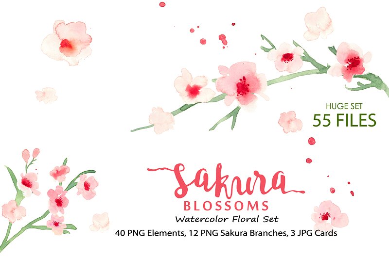 水彩樱花花卉插画素材合集 Sakura Blossoms – Watercolor Clipart插图1