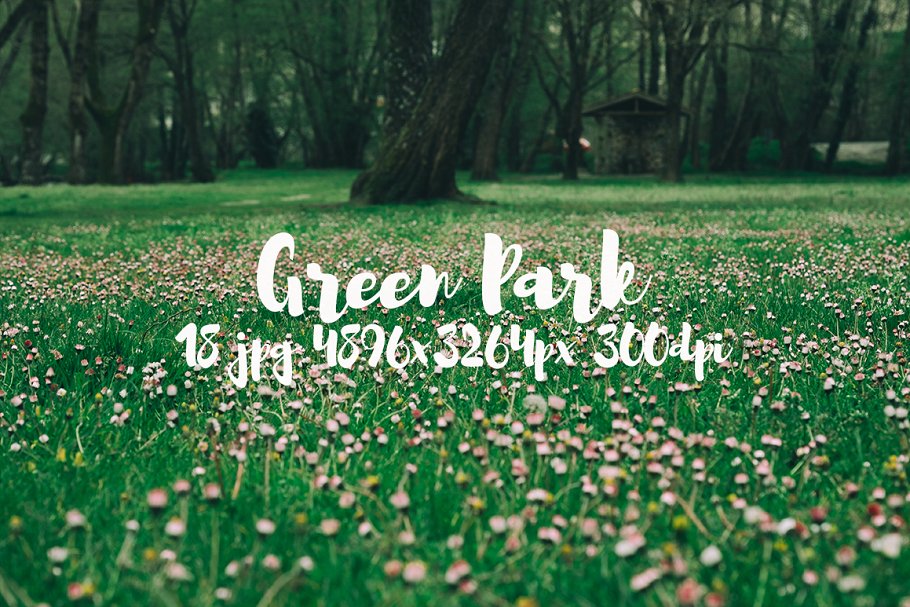 生机勃勃的公园景象高清照片素材 Green Park bundle插图(13)
