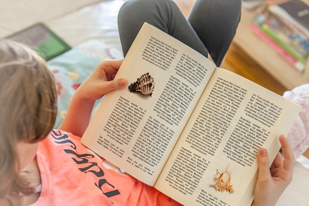 儿童图书阅读场景样机模板 Girl Reading a Book Mock-up插图(9)