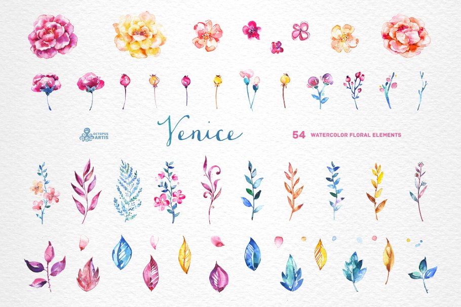 威尼斯水彩花卉设计素材收藏 Venice. Watercolor floral collection插图(1)