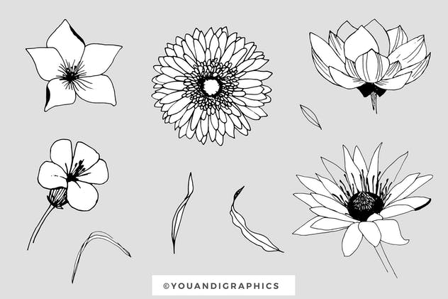 创意手绘花卉插画图案纹理素材 Graphic Flowers Patterns & Elements插图15