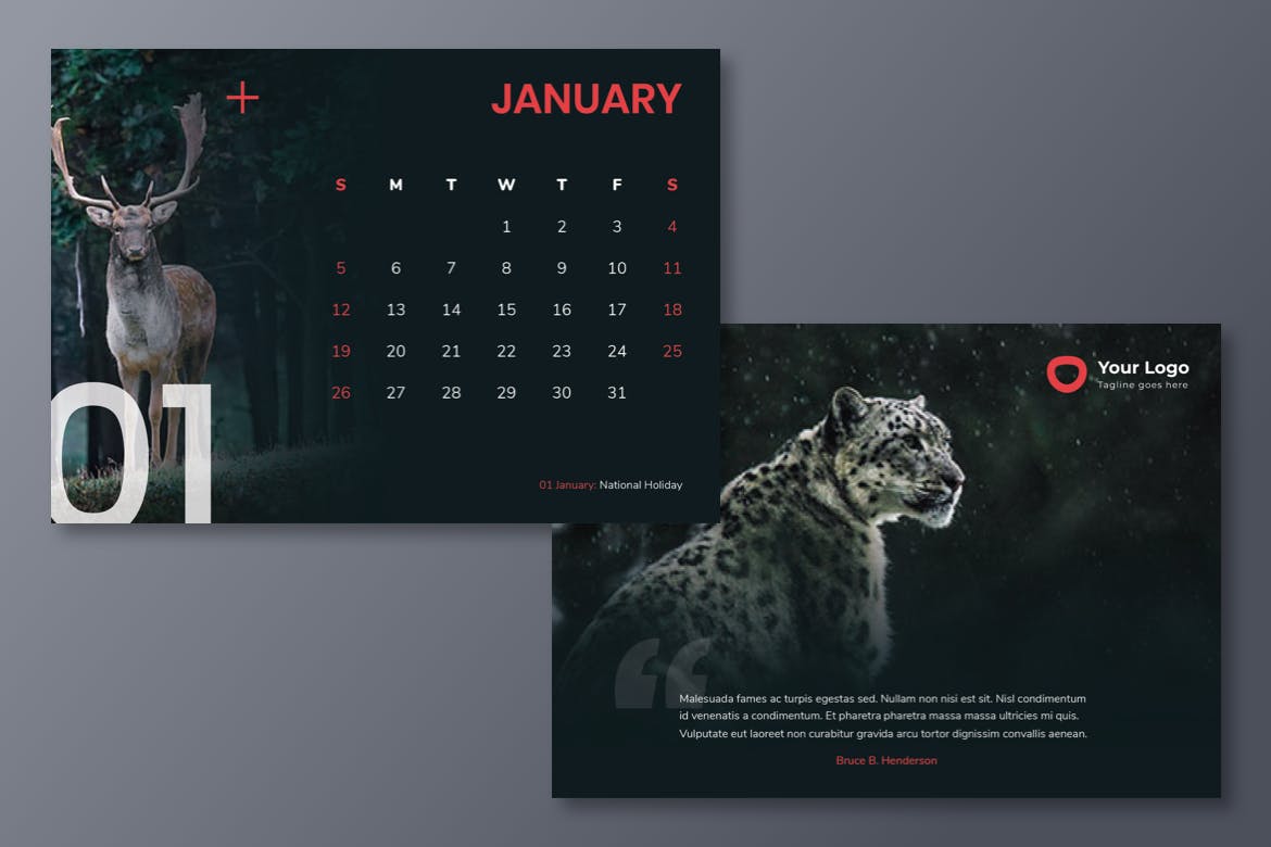 动物摄影主题2020款活页日历设计模板 Calendar 2020插图3