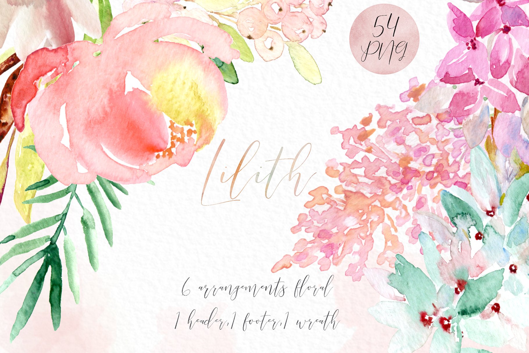 粉色水彩花卉剪贴画 Lilith. Pink watercolour flowers插图3