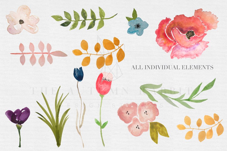 水彩手绘花园设计花卉插画 Watercolor Flower Clipart Set插图(1)