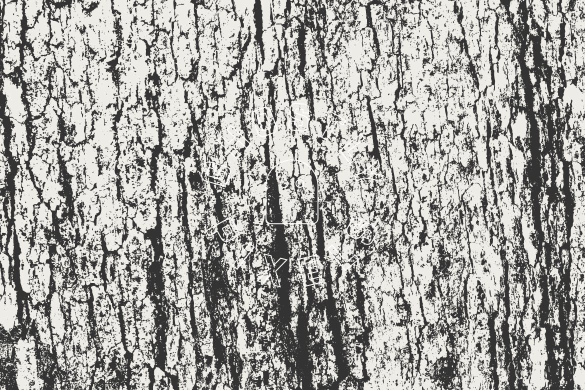 5款逼真树皮纹理肌理矢量背景素材 Tree Bark Textures插图6