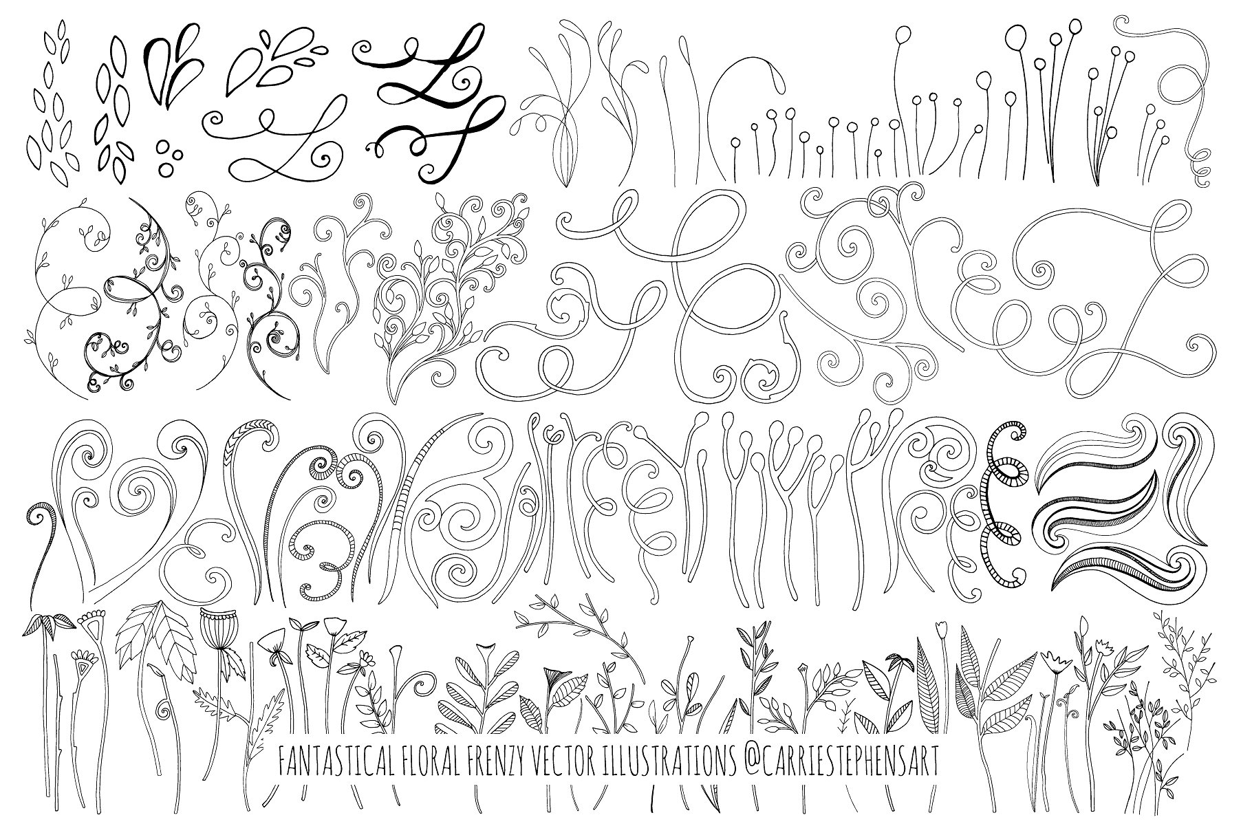 花卉艺术线条及花环素材 Flower Line Art & Floral Wreaths插图7