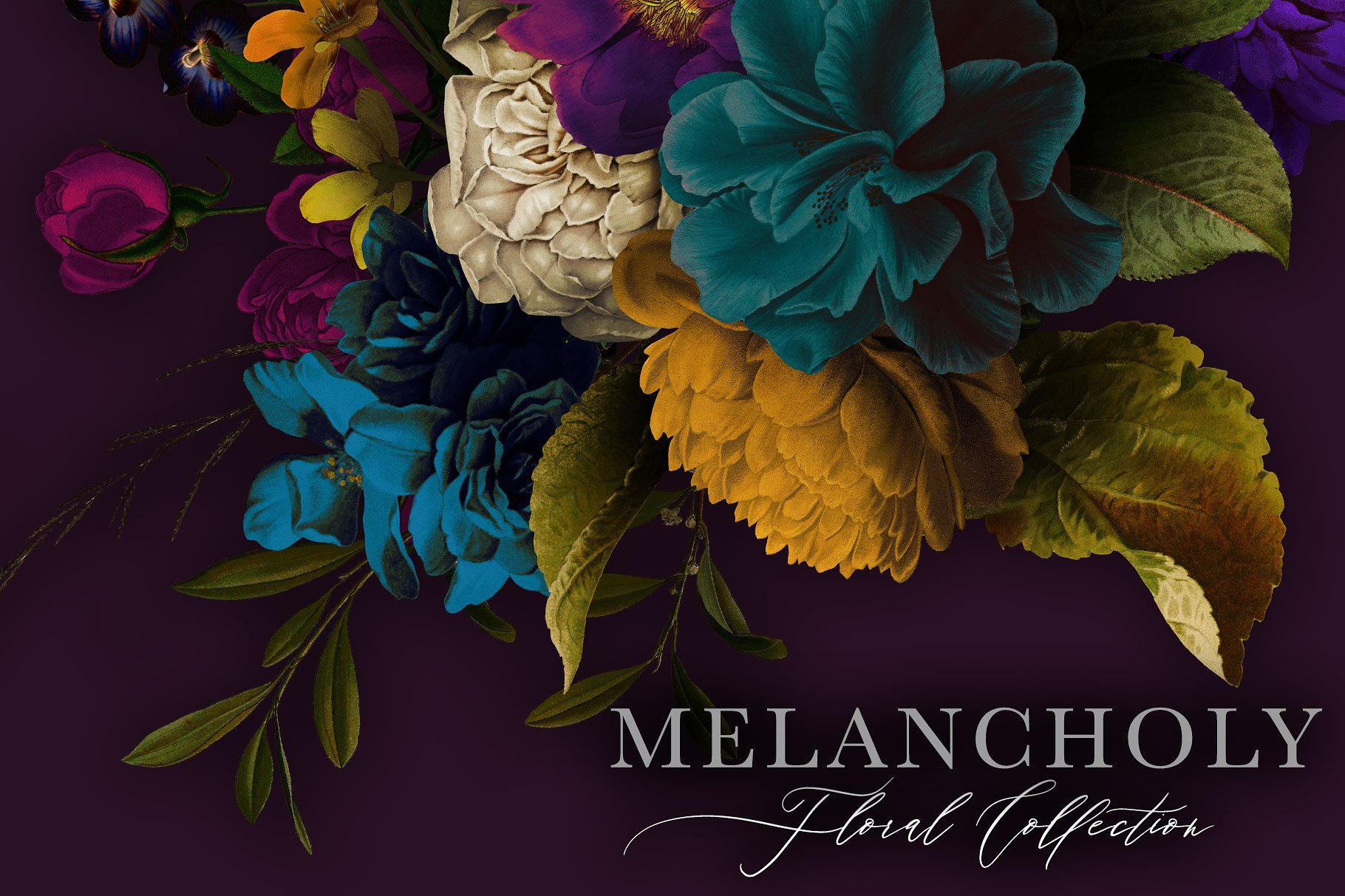 忧郁格调花卉插画合集 Melancholy Floral Collection插图(5)