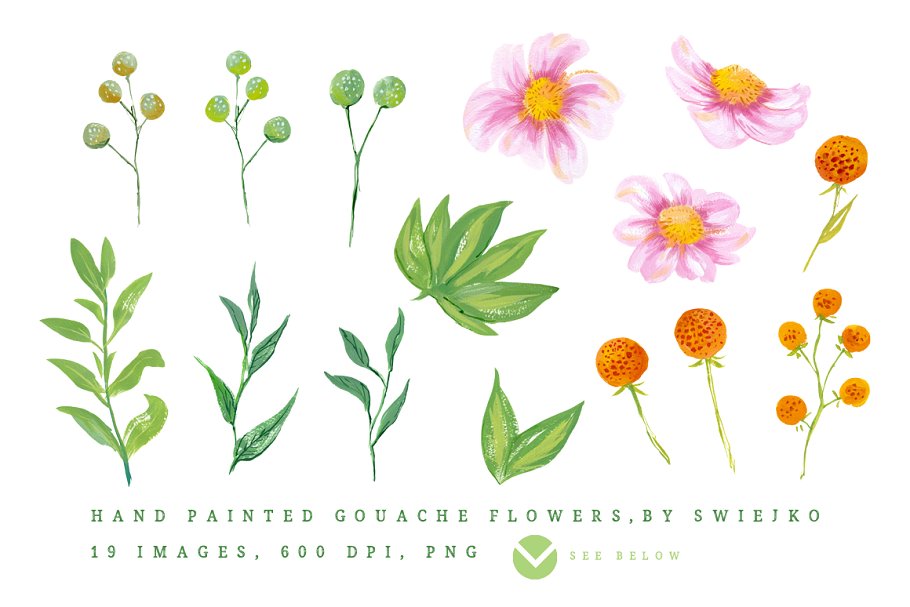 浪漫手绘鲜花树叶剪贴画合集 Gouache Flowers clipart set插图(1)