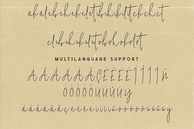 二重奏字体：手写草书书法+粗体无衬线英文字体 Mindset Font Duo插图(9)