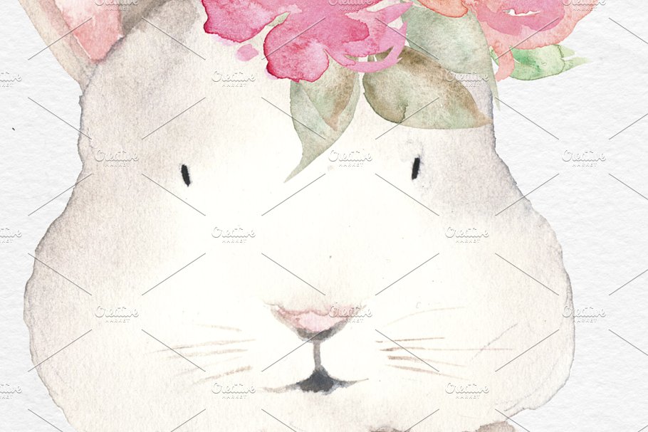 水彩动物和花卉剪贴画 Watercolor Animals, Flowers Clipart插图6