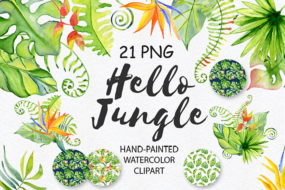21张高清热带丛林水彩元素美图 Free Tropical Watercolor Bundle插图