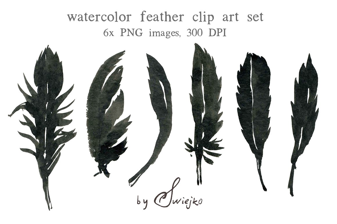 万圣节水彩乌鸦羽毛元素套装 Watercolor Feather插图