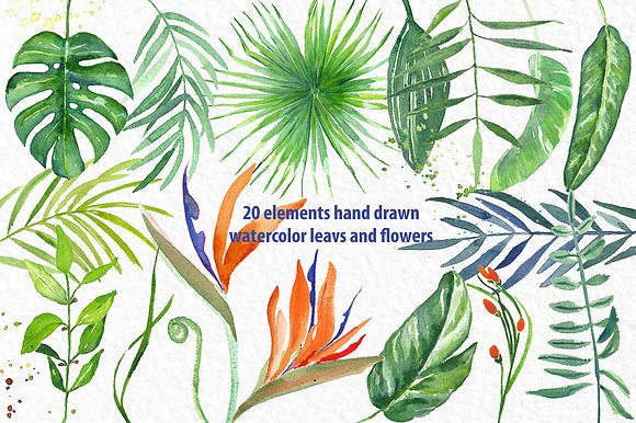 热带树叶树枝水彩画 Tropical leaves branches watercolors插图(8)
