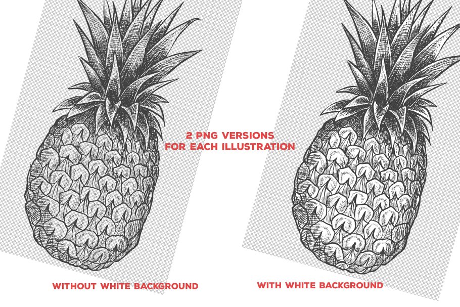 粗略风水果素描插图合集 Fruits Illustrations插图3