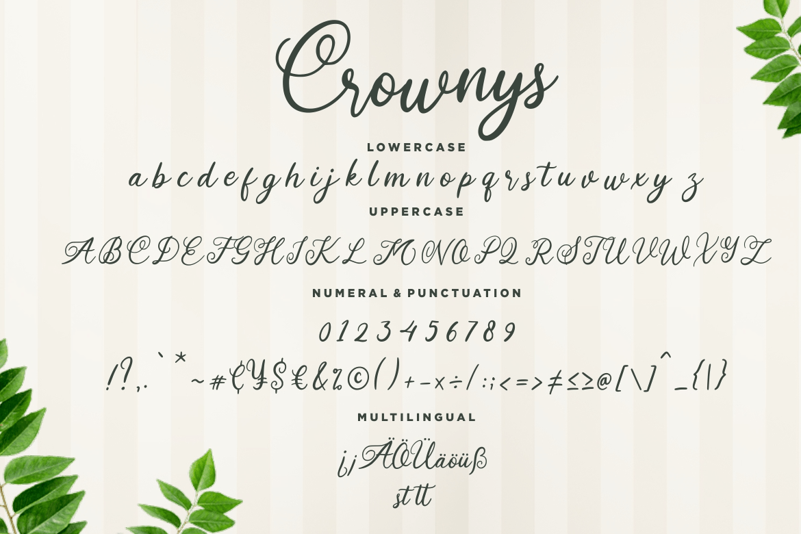 非常适合品牌设计的优雅风格英文书法字体 Crownys Calligraphy Script插图6