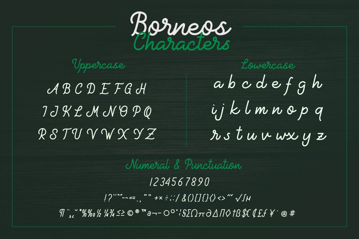 Monoline手写风格英文字体下载 Borneos – Monoline Handwriting插图4