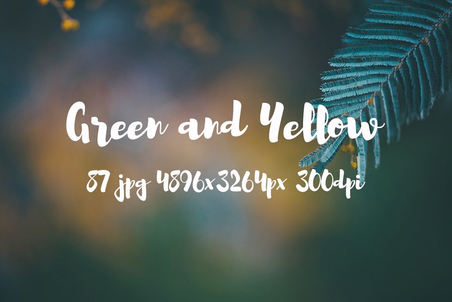绿色和黄色植物花卉摄影照片集 Green and yellow photo pack插图15