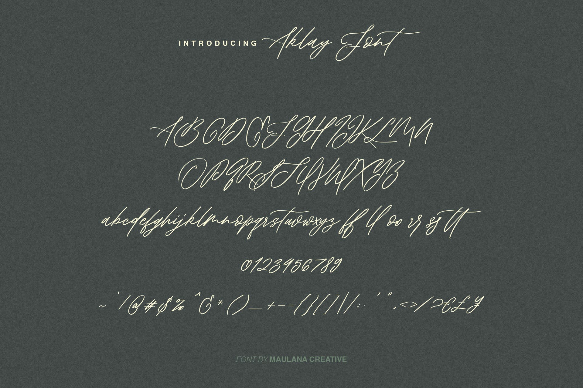 英文飘逸连字钢笔书法字体 Aklay – Handwritten Font插图(7)
