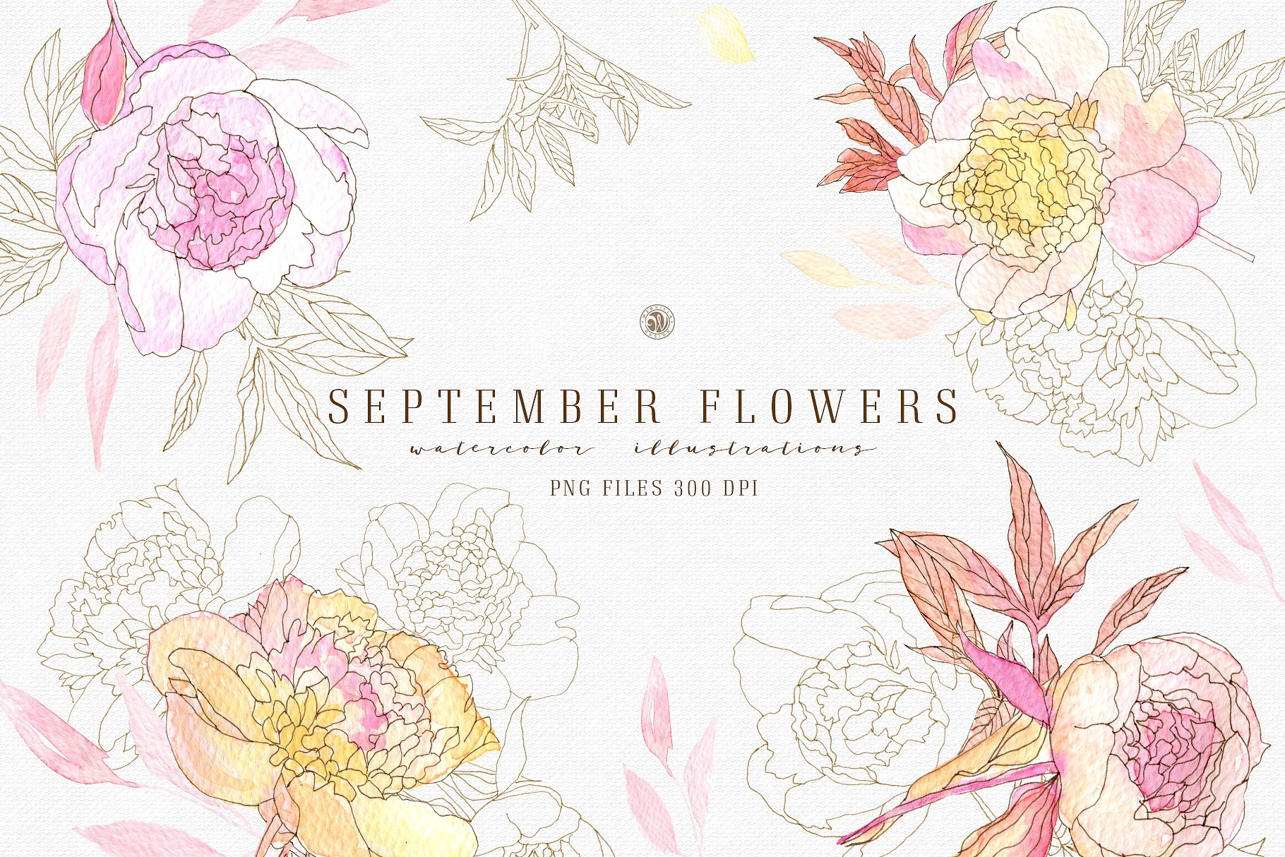 九月淡雅风水彩手绘花卉插画素材v2 September Flowers vol.2插图