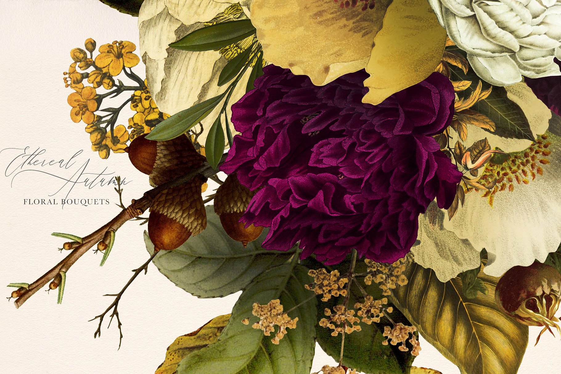 栩栩如生的秋天花束插画 Ethereal Autumn Floral Bouquets插图(6)