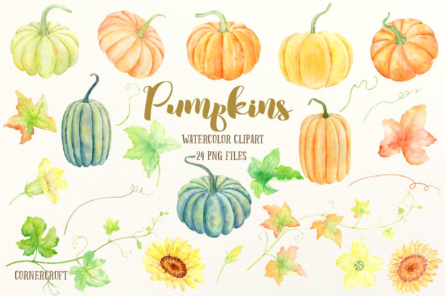 南瓜（藤、叶子&花）水彩剪贴画、纹理 Watercolour Clipart Pumpkins插图(1)