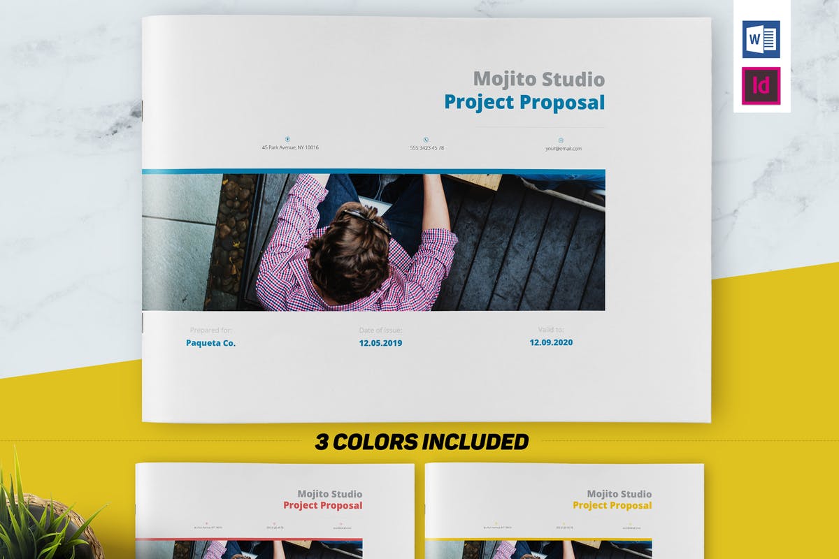 企业项目建议书/提案设计INDD模板 Project Proposal插图