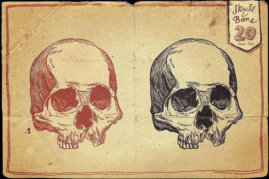 万圣节骷髅头矢量图形合集 Vintage Skull and Bone Vector pack插图1