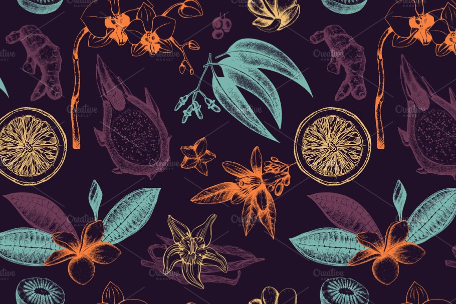 热带植物和花卉矢量图形 Vector Tropical Plants & Flowers插图1