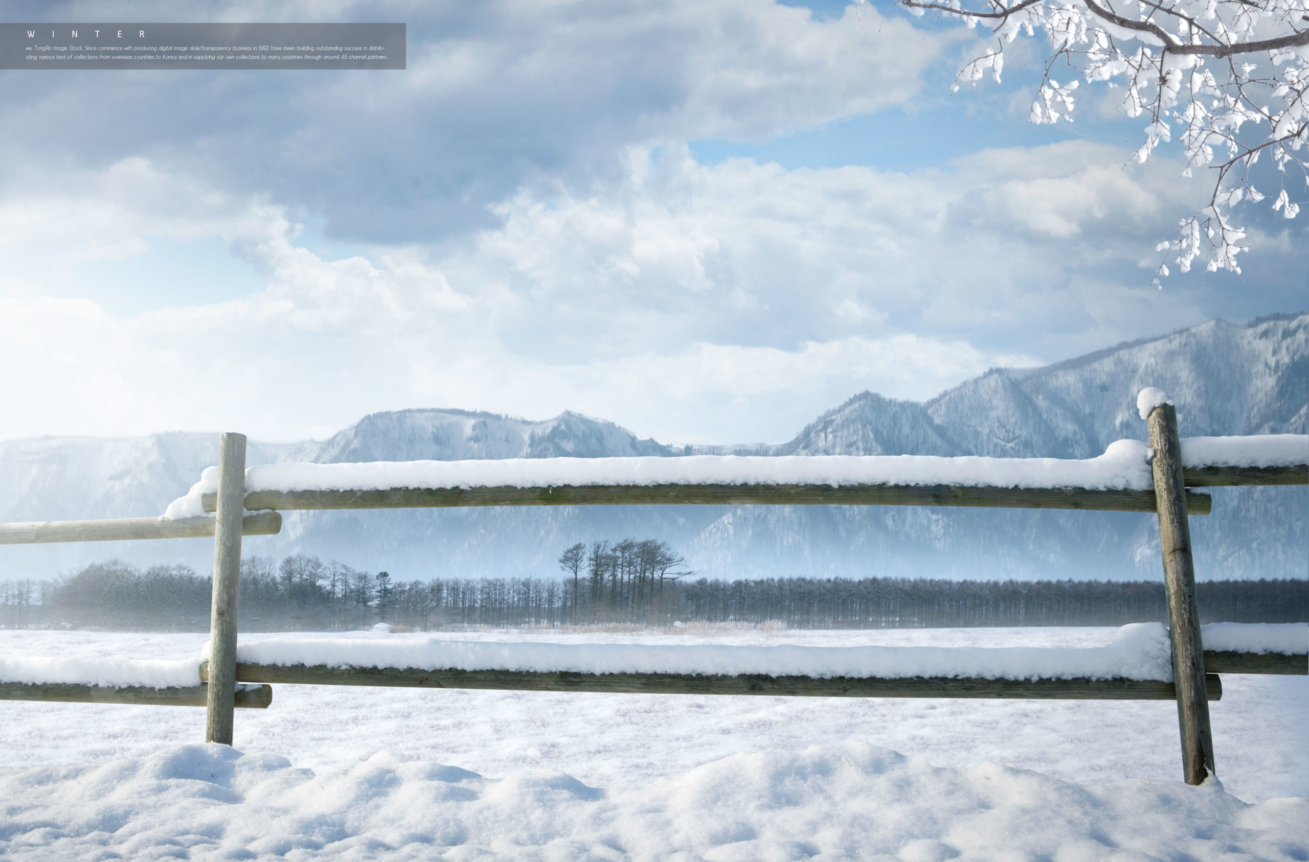 冬季雪景背景图片psd素材合集插图(2)