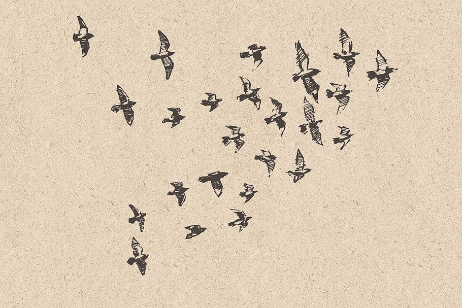 鸟群素描设计素材 Flocks of birds, sketch style插图(5)