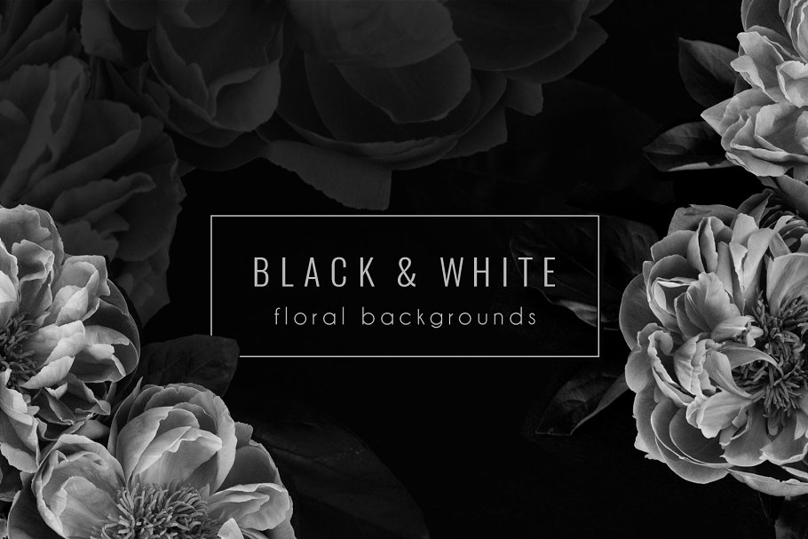 黑色背景花卉场景样机 Floral Background PNG Stock Photos插图