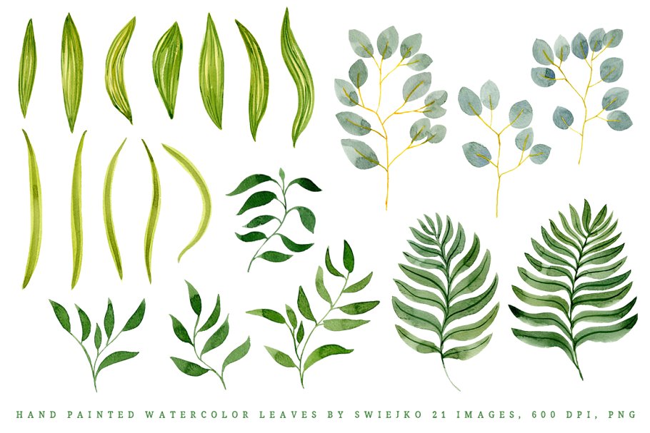 异国风情水彩热带树叶数字图像 Watercolor Foliage set插图(1)