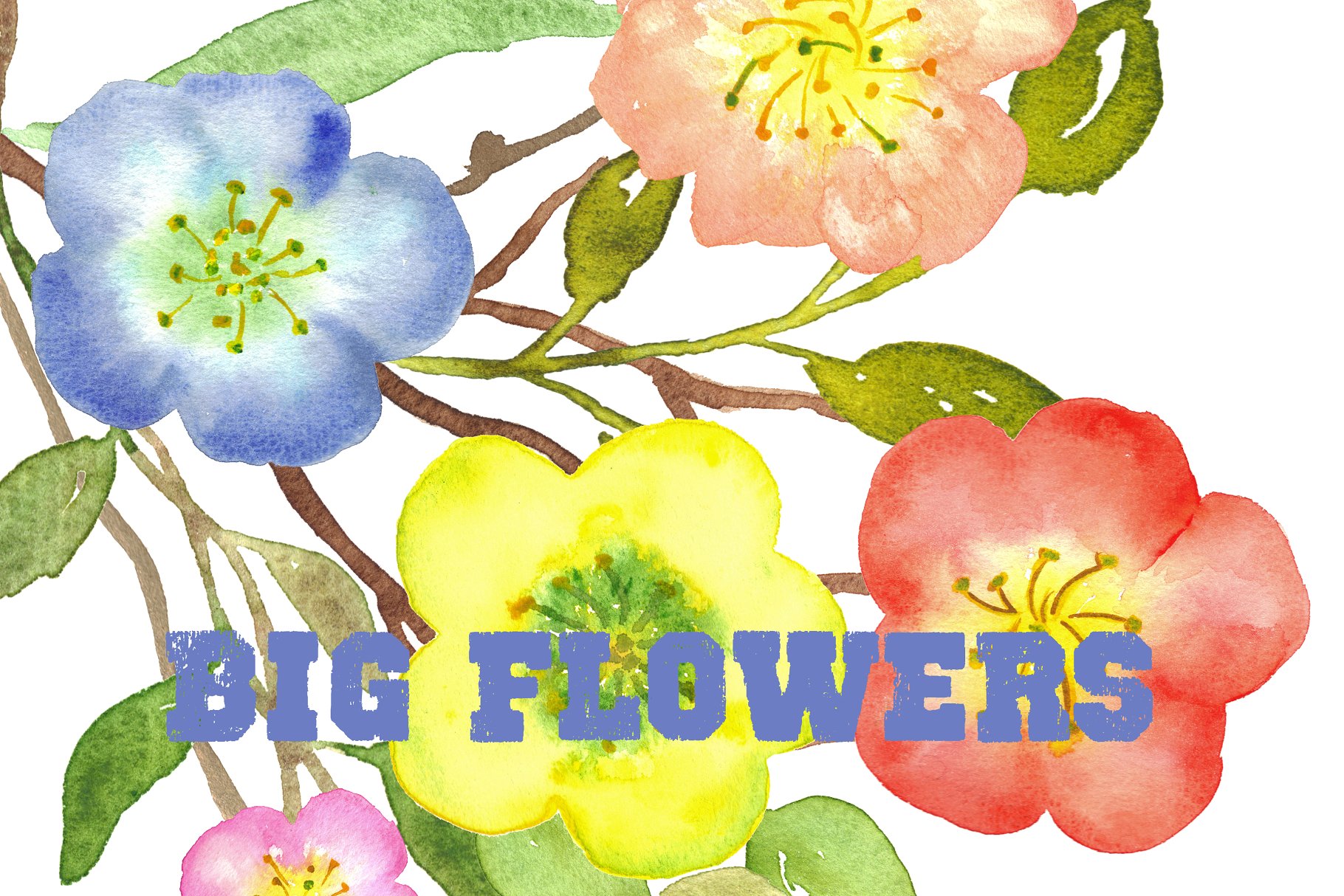 水彩手绘花卉艺术剪贴画设计素材 Big Flowers watercolor clipart插图3