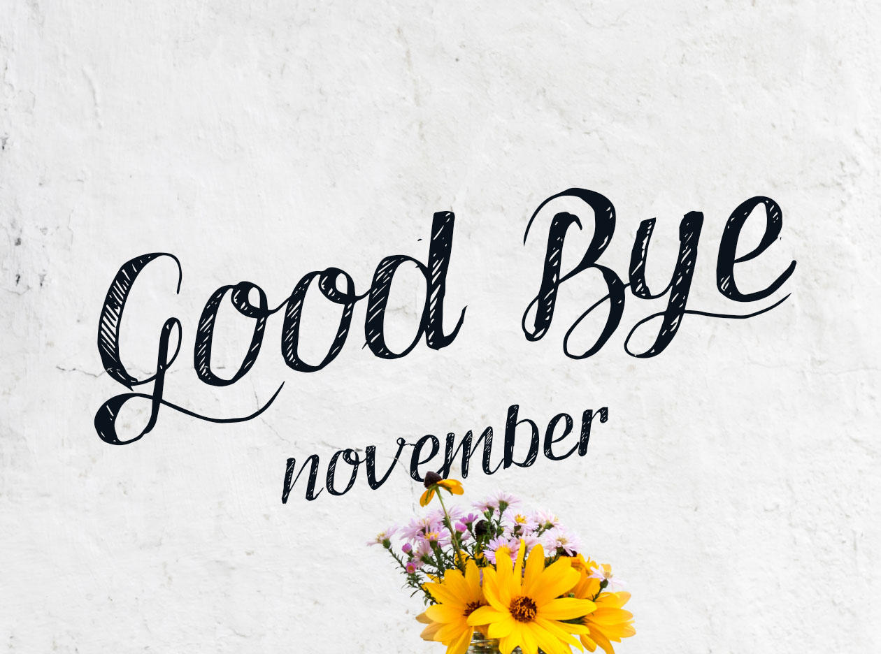 英文手写书法艺术字体下载 Good Bye November插图