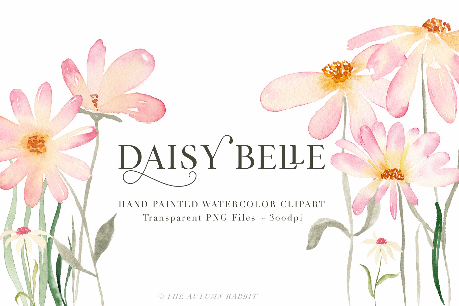 独立手绘花卉树叶图像 Daisy Belle – Watercolor Flowers插图